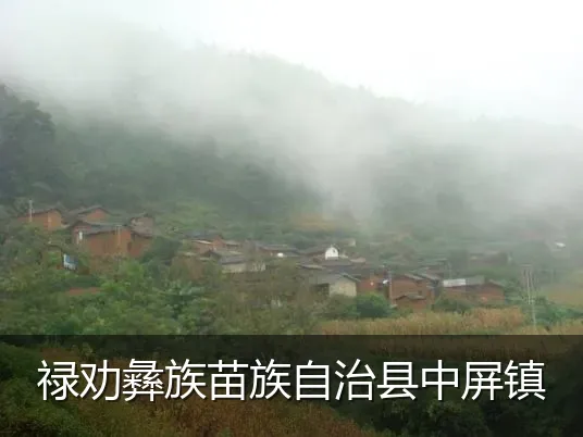 禄劝彝族苗族自治县中屏镇