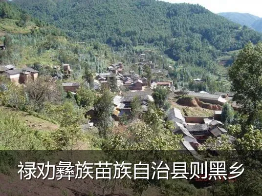禄劝彝族苗族自治县则黑乡