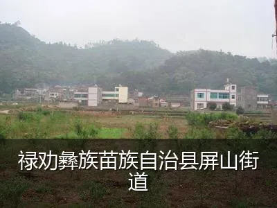 禄劝彝族苗族自治县屏山街道