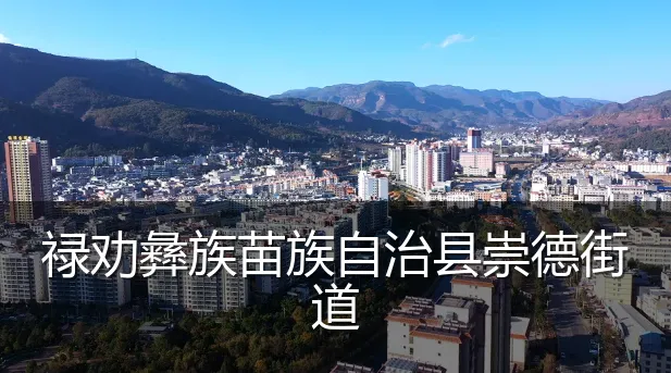 禄劝彝族苗族自治县崇德街道