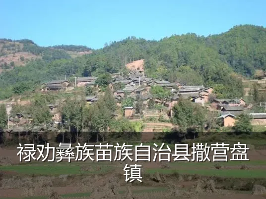 禄劝彝族苗族自治县撒营盘镇