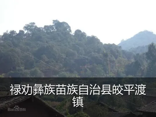 禄劝彝族苗族自治县皎平渡镇