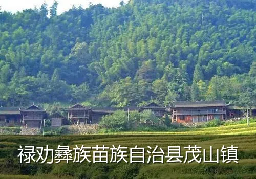禄劝彝族苗族自治县茂山镇